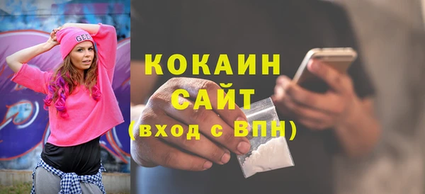 тгк Алексин