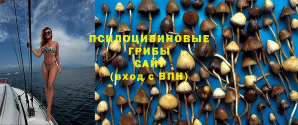 таблы Аркадак