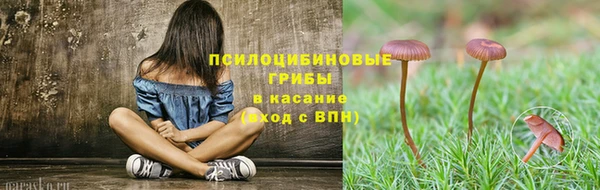 бутират Арсеньев