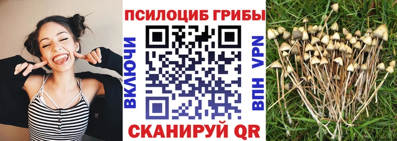 блэк спрут зеркало  купить наркоту  дарк нет какой сайт  Псилоцибиновые грибы MAGIC MUSHROOMS  Асбест 